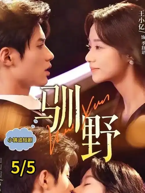爱奇艺家庭剧归途的第二站海报